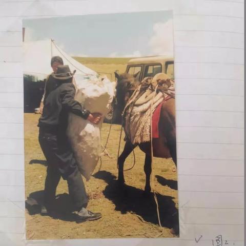 《马背驰骋：揭秘热门马匹游戏排行，哪款是你的菜？》