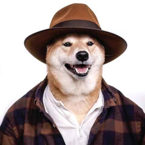 时尚达人必看！盘点十大热门装扮游戏推荐