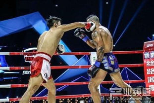 《拳坛风云：盘点热门拳击游戏，人气排行TOP10》