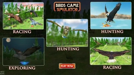 《十大热门鸟游戏盘点:不容错过的飞行盛宴》 《十大热门鸟游戏盘点:不容错过的飞行盛宴》