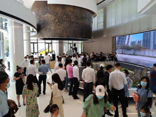 《2024年度轻量级Rogue游戏盘点：十大热门推荐》