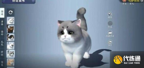 《天涯明月刀手游猫咪繁育攻略:养猫系统玩法揭秘》 《天涯明月刀手游猫咪繁育攻略:养猫系统玩法揭秘》