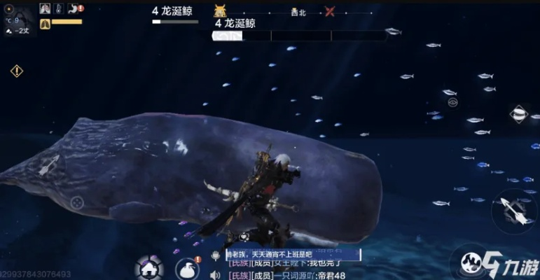 《妄想山海抓蛋秘籍：高效技巧全解析》