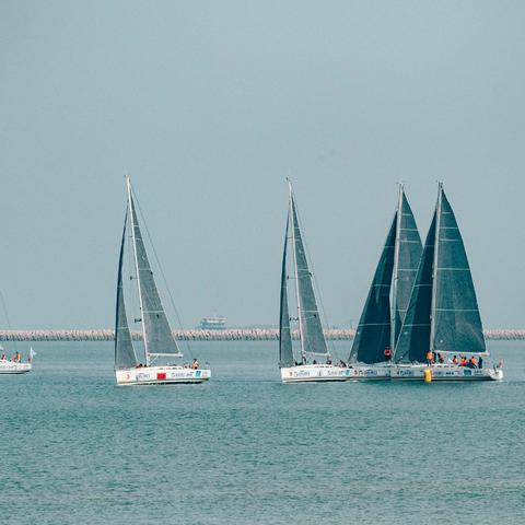 《仙境传说新启航零氪党攻略:职业选择全解析》 《仙境传说新启航零氪党攻略:职业选择全解析》