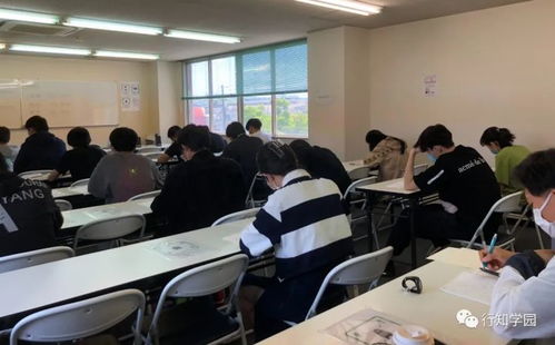 《盘点十大经典模拟游戏，重温经典回忆！》