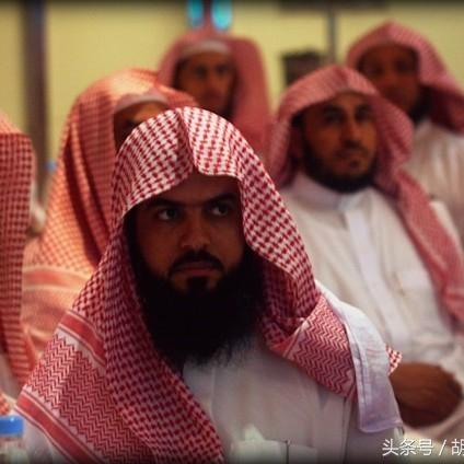 哈利波特草药探险招募攻略：快速集结玩家秘籍