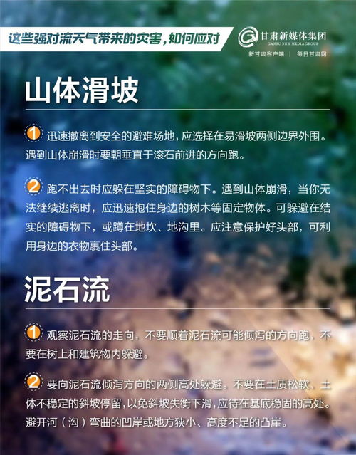 《萌新生存指南：三天内掌握活下去技巧》