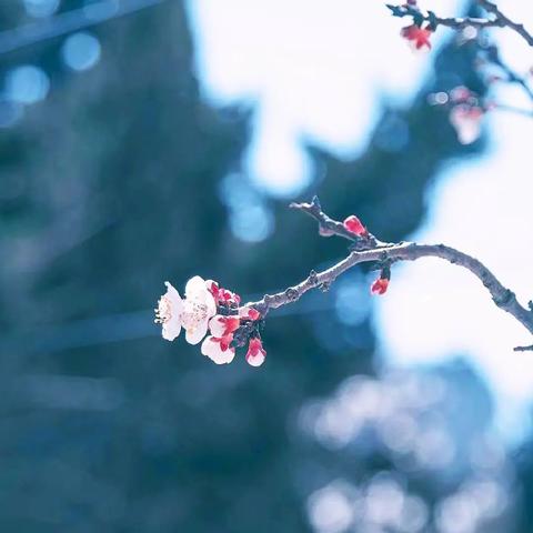 烟雨江湖破旧玉碗:隐藏属性解析,提升战斗力! 烟雨江湖破旧玉碗:隐藏属性解析,提升战斗力!
