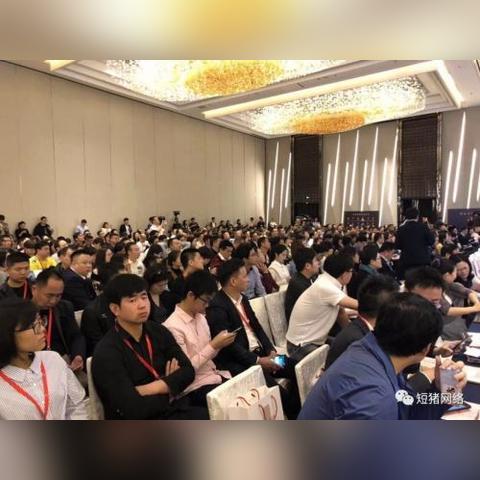 仙境传说新启航：委托板任务攻略大全揭秘