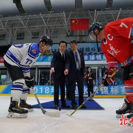 冰球游戏人气排行：盘点十大最受欢迎的冰球竞技佳作