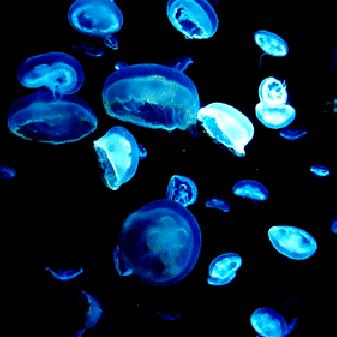 无声主角游戏盘点：2023热门无声游戏推荐！