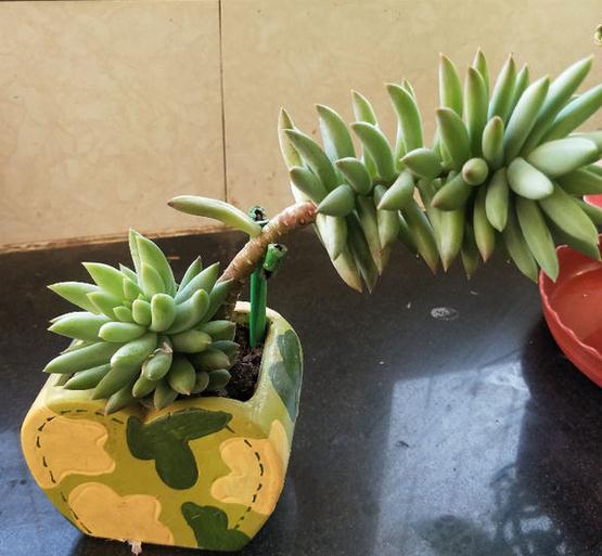 《揭秘：最受欢迎多结局游戏排行，哪个才是你的菜？》