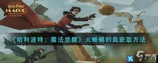 哈利波特觉醒火蜥蜴血量快速获取攻略