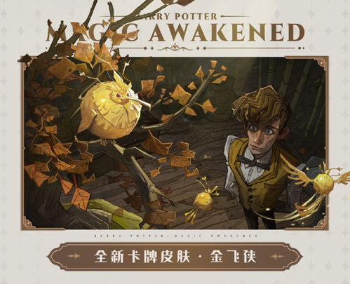《哈利波特觉醒：金色飞贼捕捉技巧揭秘》