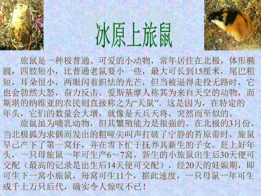 《独家盘点：十大热门旅鼠游戏，趣味无穷不容错过》