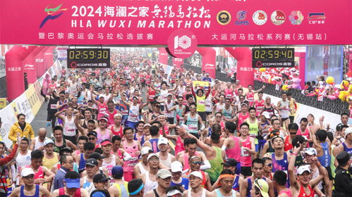 《独家盘点：最受欢迎的收集马拉松游戏推荐》