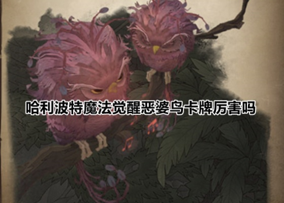 《哈利波特觉醒：恶婆鸟卡牌搭配攻略，战力飙升！》