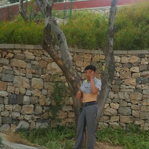 《比鹤乃肖像推荐!手游《魔法少女小圆》圆哆啦必带肖像》 《比鹤乃肖像推荐!手游《魔法少女小圆》圆哆啦必带肖像》