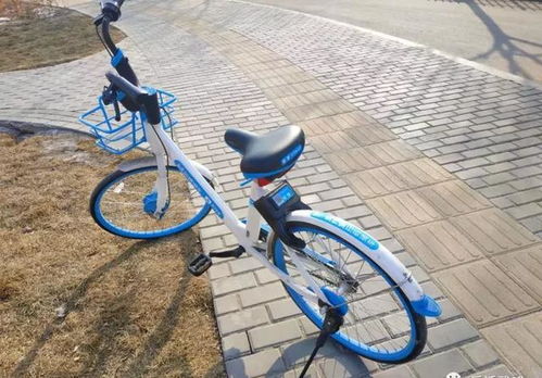 SCUM自行车攻略：高效使用技巧揭秘