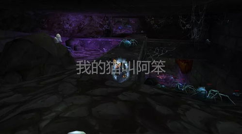 《冰原守卫者蜘蛛丝获取秘籍，轻松解锁！》