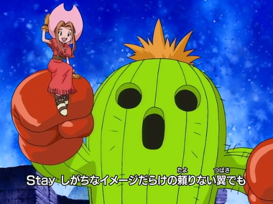 数码宝贝新世纪：仙人掌兽进化全解析，升级之路揭秘