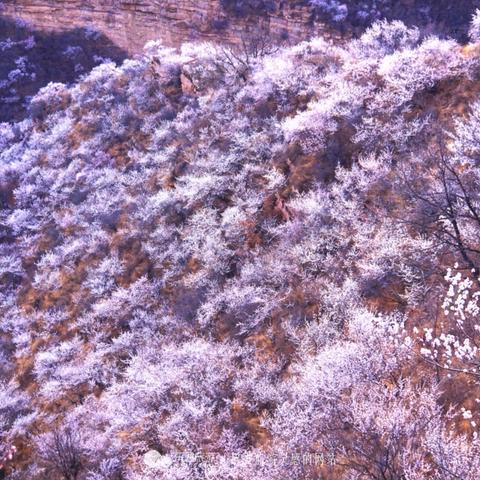 地下城堡3哀嚎峡谷通关秘籍!高效副本攻略分享 地下城堡3哀嚎峡谷通关秘籍!高效副本攻略分享