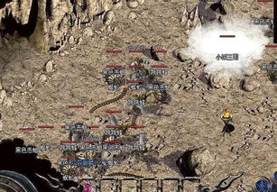 《十大隐藏宝藏游戏盘点：揭秘最好玩隐藏物件挑战》