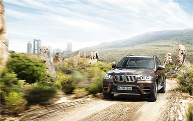 《宝马X5赛车速成攻略：轻松解锁竞速霸主》