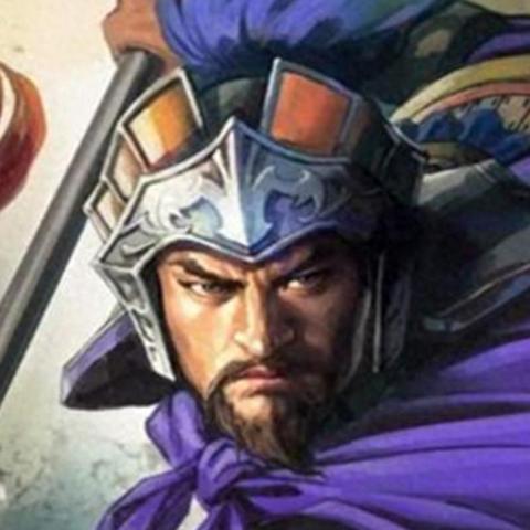 荣耀新三国张辽阵容搭配技巧解析，技能属性攻略全揭秘