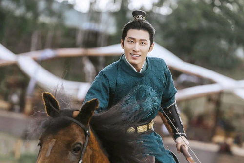 燕云十六声购马隐情：清河伏马庄万事揭秘