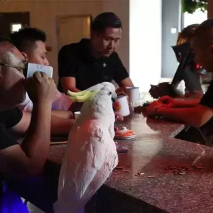 《热门双摇杆射击游戏盘点:不容错过的射击盛宴》 《热门双摇杆射击游戏盘点:不容错过的射击盛宴》