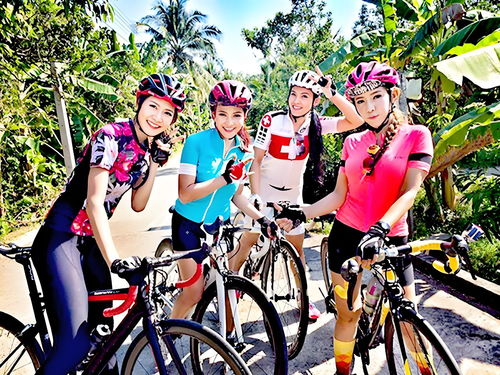 2024单车游戏人气排行：盘点最受欢迎的骑行游戏