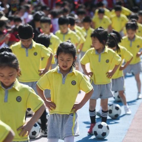 《热门体育游戏盘点：盘点高人气体育游戏》
《体育游戏排行榜：人气爆棚的体育游戏大盘点》
《盘点年度爆款：最受欢迎的体育游戏汇总》
《体育游戏狂欢：揭秘高人气体育游戏榜单》
《热门体育游戏集结号：人气王盘点》