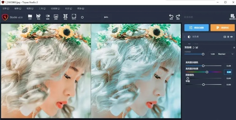 《十大照片编辑游戏盘点:游戏玩家必备照片处理神器》 《十大照片编辑游戏盘点:游戏玩家必备照片处理神器》