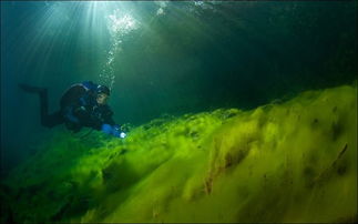 探寻水下秘境:盘点热门水底游戏推荐! 探寻水下秘境:盘点热门水底游戏推荐!
