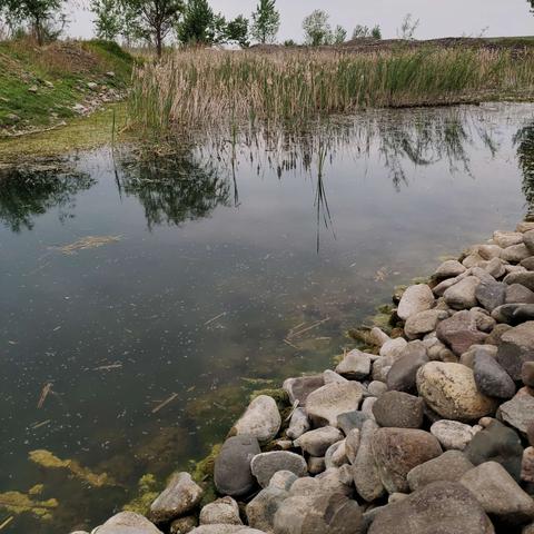 《热门下载!盘点钓鱼游戏中的佼佼者》 《热门下载!盘点钓鱼游戏中的佼佼者》