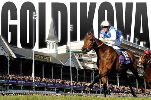 《十大热门马匹游戏盘点：不容错过的马战巅峰》