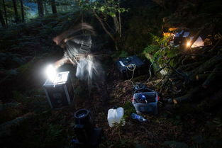 2024年度放松游戏盘点:盘点最适合休闲时光的十大游戏 2024年度放松游戏盘点:盘点最适合休闲时光的十大游戏