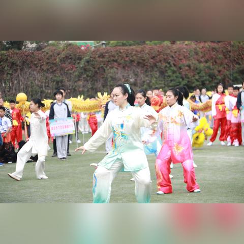 《武林巅峰之作：热门武术游戏下载排行》