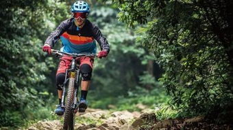 《越野骑行巅峰之作:盘点热门自行车越野游戏排行》 《越野骑行巅峰之作:盘点热门自行车越野游戏排行》