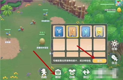 摩尔庄园草莓蜂套装获取秘籍，轻松入手攻略！