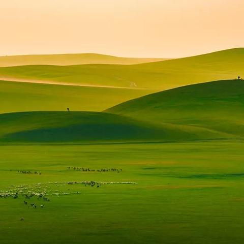 畅游无界！盘点十大高自由度游戏，每一款都值得一试