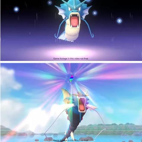 宝可梦集结持有物搭配攻略：高效组合推荐