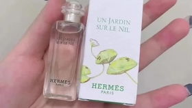 《奘铃村口红藏匿秘境，纸嫁衣2寻宝攻略》