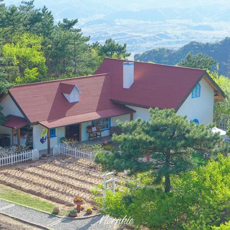 《光遇树屋隐藏位置大揭秘!》 《光遇树屋隐藏位置大揭秘!》