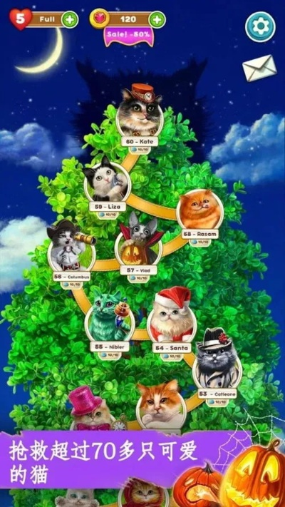 猫咪升级攻略：汤的秘密升级机制深度解析