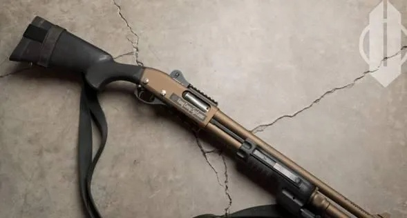 《揭秘远光84：最强喷子之王，霰弹枪攻略全解析》