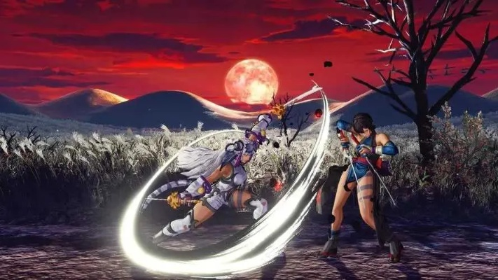 《热门盘点：十大必玩唯美格斗游戏，人气之选！》