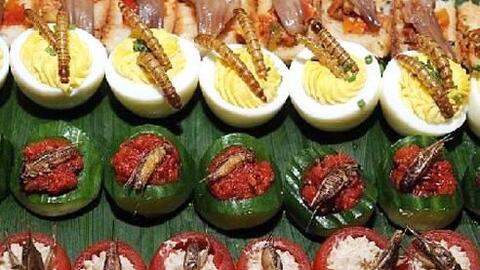 古剑奇谭蒸茄泥木语人秘制教程，轻松学会美味佳肴