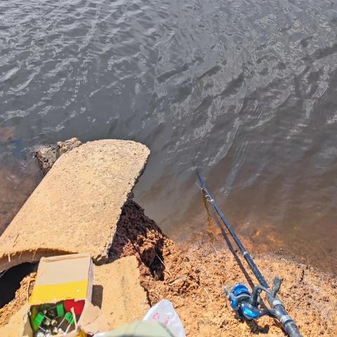 《钓鱼佬新手攻略:轻松净化海洋,快速升级!》 《钓鱼佬新手攻略:轻松净化海洋,快速升级!》